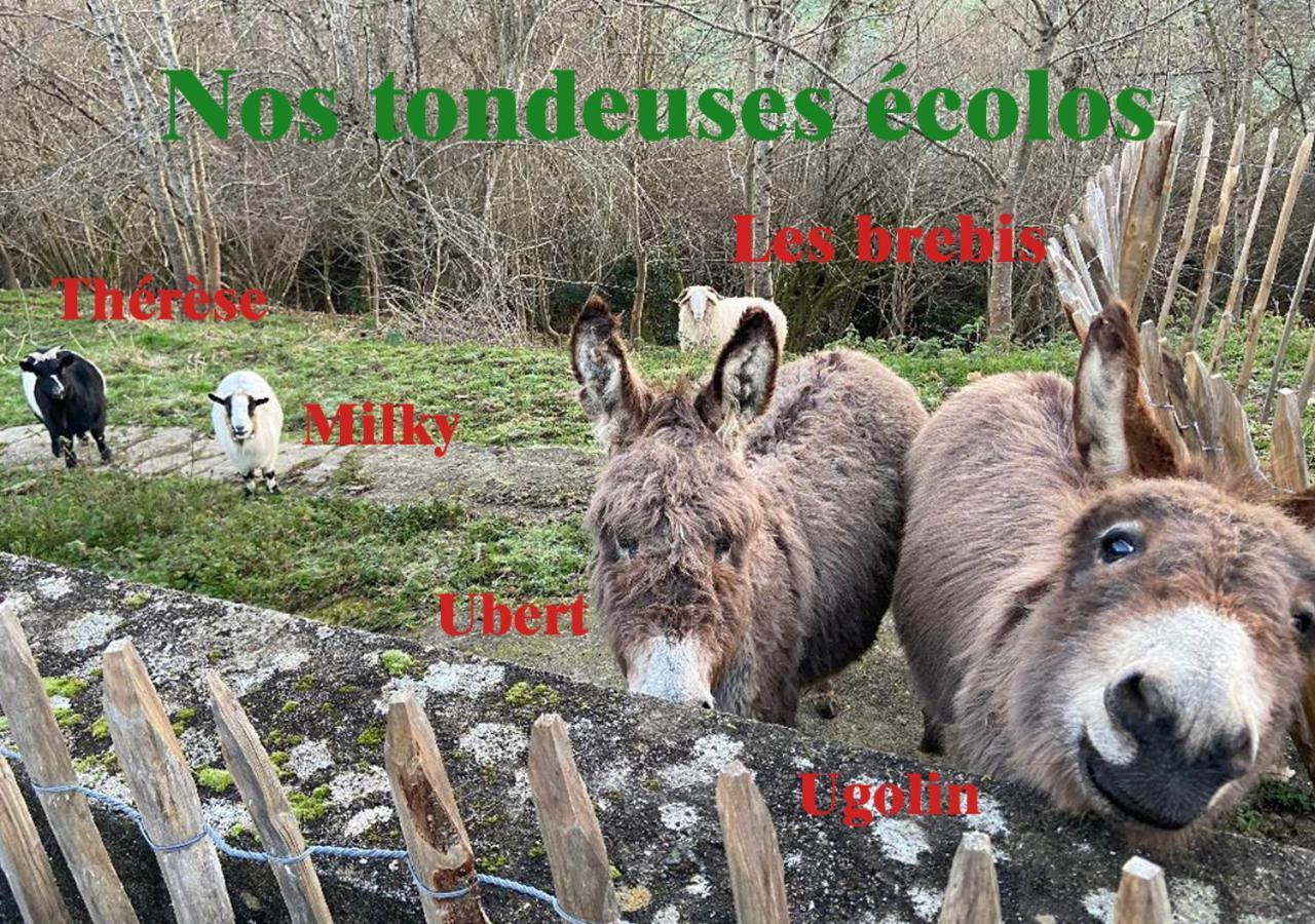 Gite De Lasbareilles Narcastet Extérieur photo